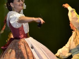 Festival de Folkore en Mula